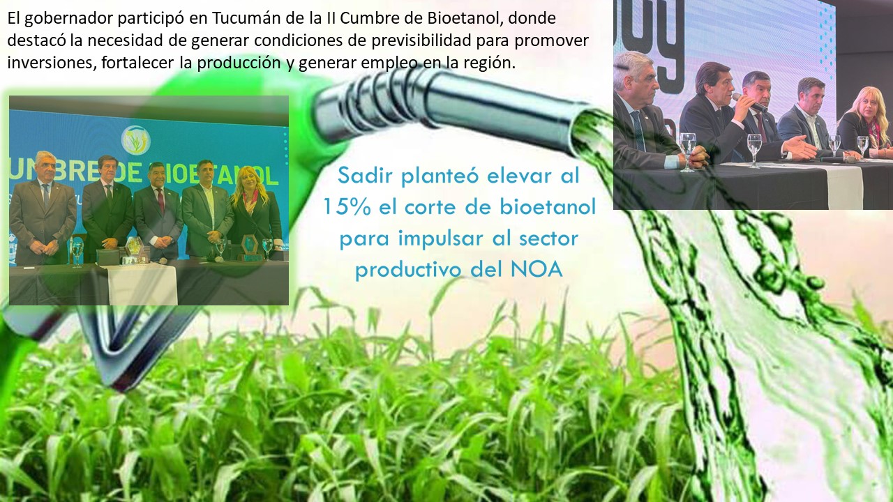 Sadir planteó elevar al 15% el corte de bioetanol para impulsar al sector productivo del NOA